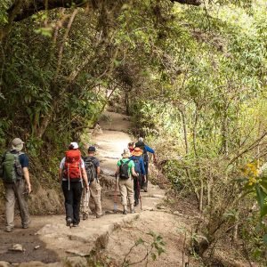 Caminhada pela Trilha Inca até Machu